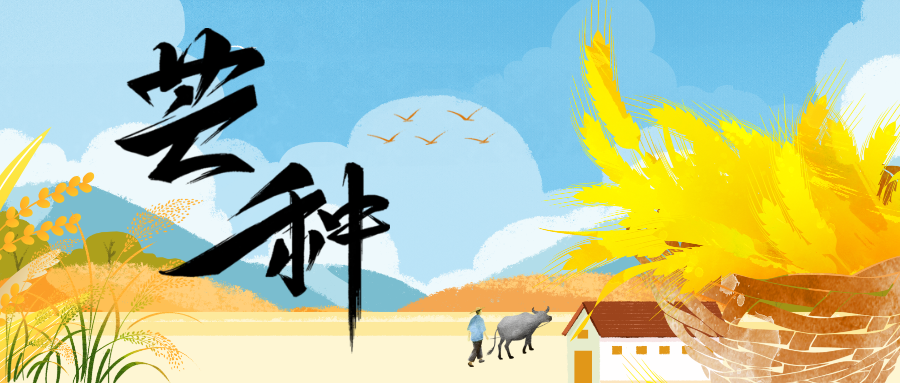 ��÷��ƣ������xԊ ��ʢ���  2025��06��05�� 08:01 ����